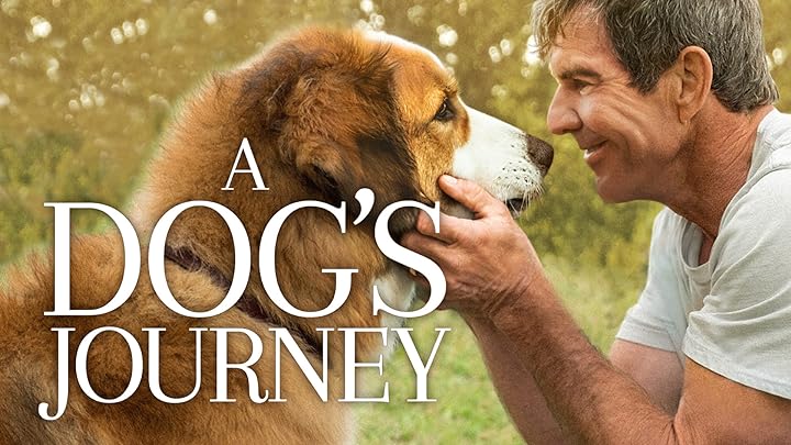 Is There Any Other Platform Available For A dog's purpose?